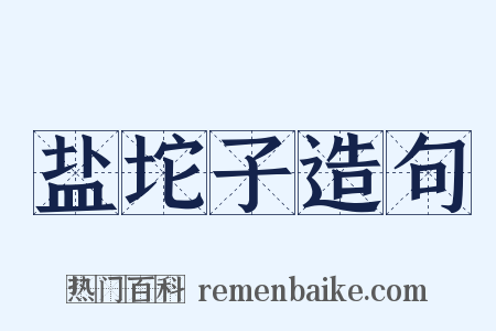 盐坨子造句是什么意思的图片